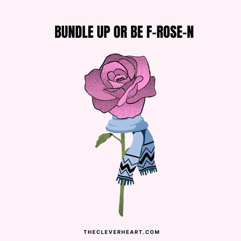 bundle up or be f-rose-n rose puns