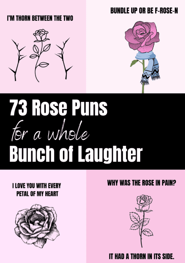 73 Funny Rose Puns for a Whole Bunch of Laughter