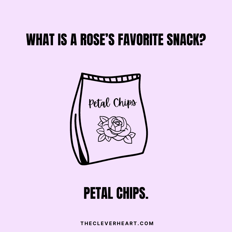 what is a rose’s favorite snack petal chips