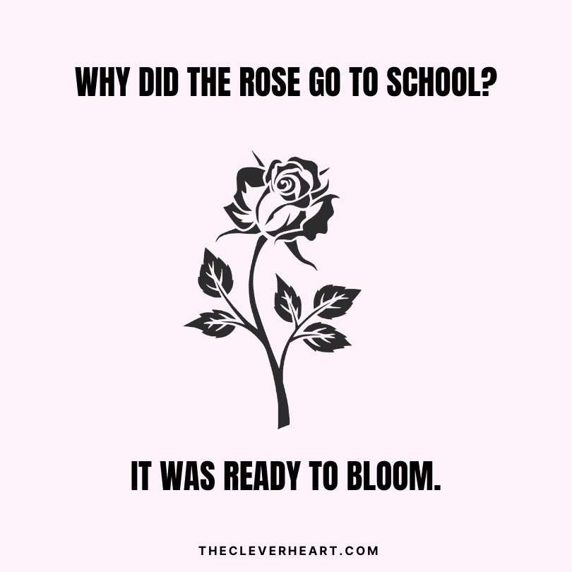 why did the rose go to school it was ready to bloom rose one liners