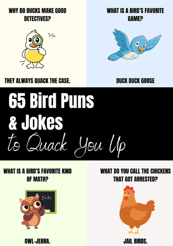 65 Funny Bird Puns to Make You Chirp with Laughter