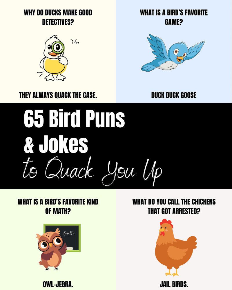 bird puns