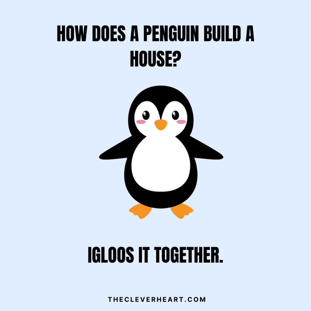 how does a penguin build a house bird pun