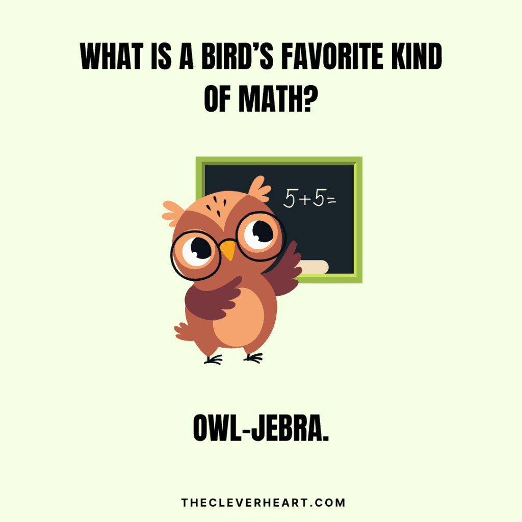what is a birds favorite kind of math bird pun