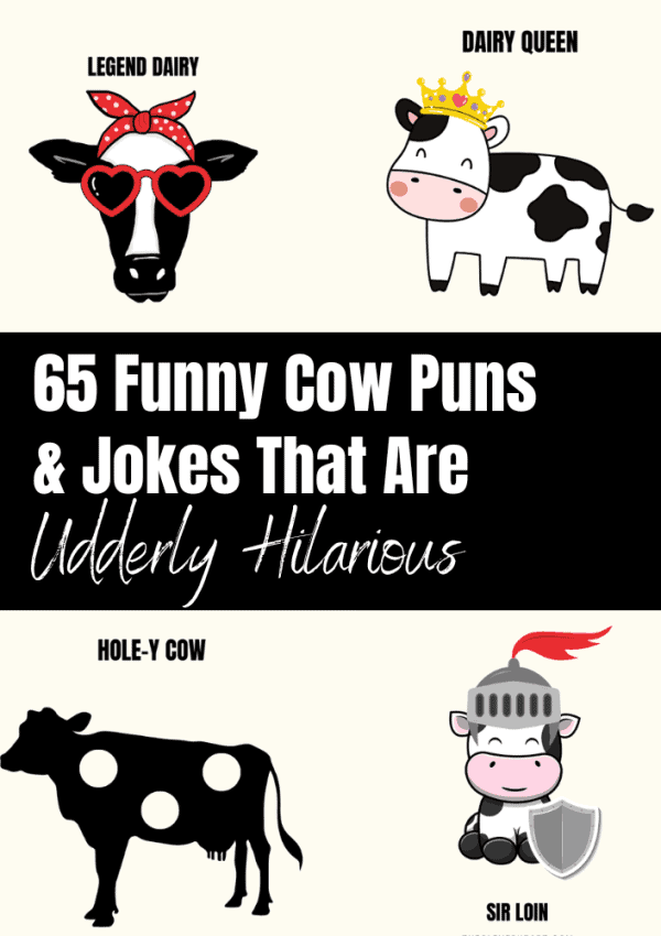 63 Funny Cow Puns & Jokes That Are Udderly Hilarious