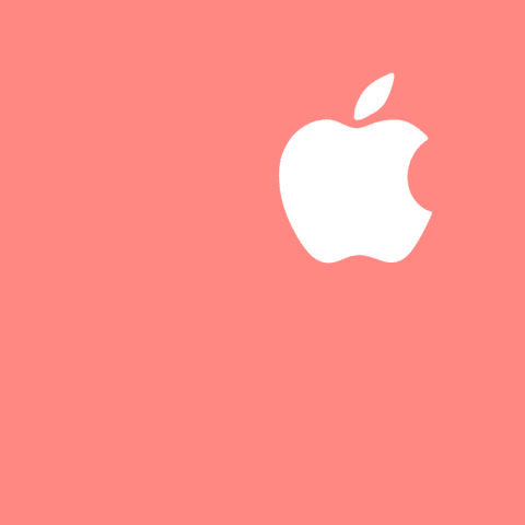 APPLE SUPPORT coral app icon