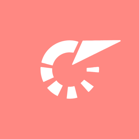 FLASHSCORE coral app icon