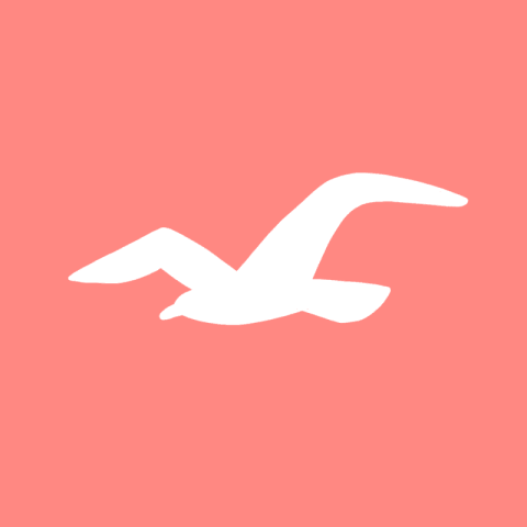 HOLLISTER coral app icon