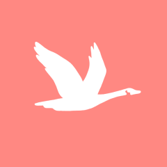 WAWA coral app icon