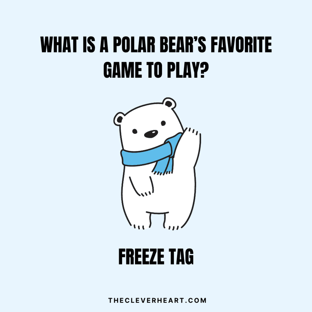 what is a polar bears favorite game to play_ freeze tag