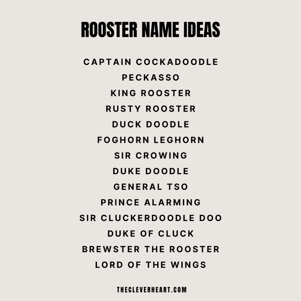 rooster name ideas puns