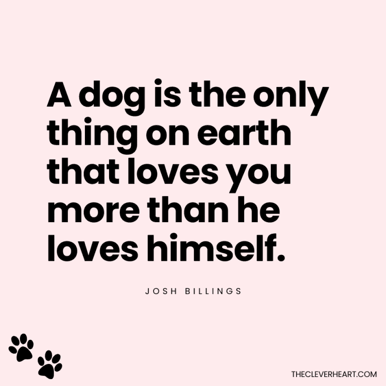 A quote about a dog's unconditional love, showcasing the deep bond between pets and their owners