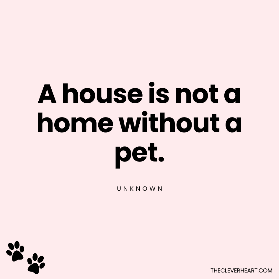 A house is not a home without a pet unknown
