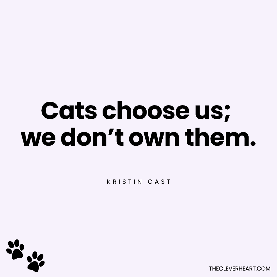 Cats choose us we don’t own them kristin cast