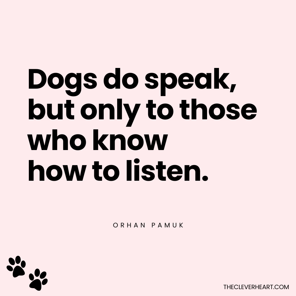 Dogs do speak but only to those who know how to listen orhan pamuk