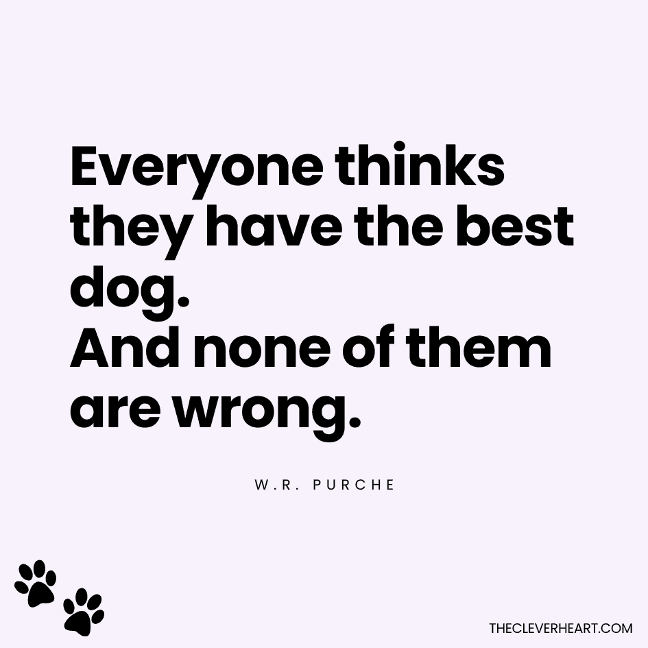 Everyone thinks they have the best dog And none of them are wrong w r purchee