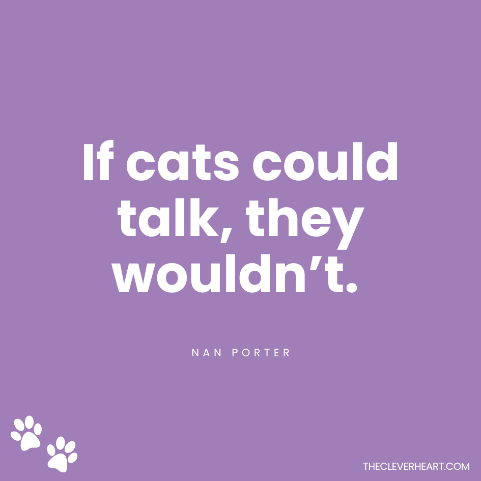 If cats could talk they wouldn’t nan porter
