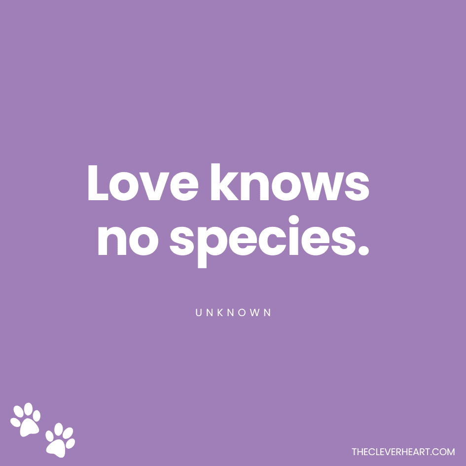 Love knows no species unknown