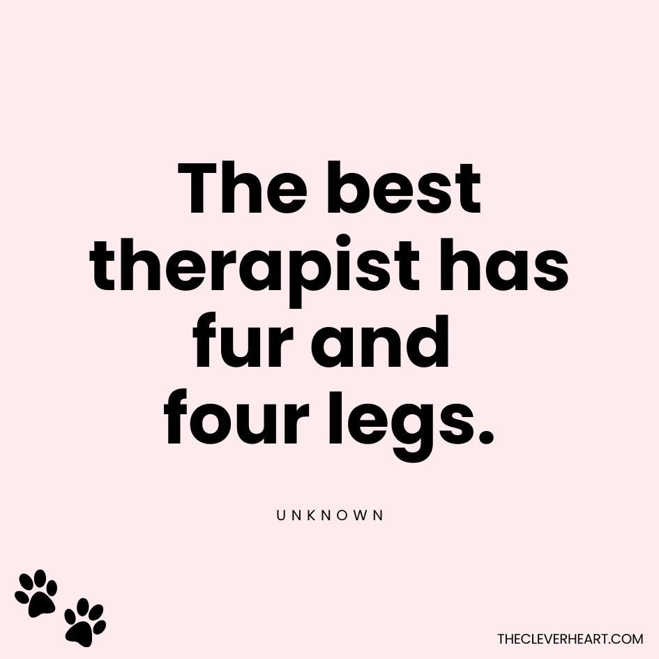 The best therapist has fur and four legs unknown