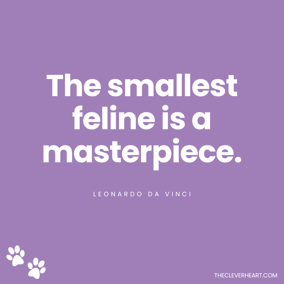 The smallest feline is a masterpiece leonardo da vinci