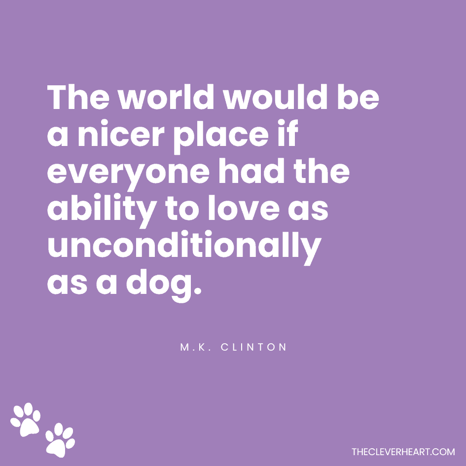 The world would be a nicer place if everyone had the ability to love as unconditionally as a dog m k clinton